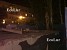 Abovyan Street: “Taron Margaryan, Not Nice” Abovyan Street: “Taron Margaryan, Not Nice”