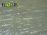 Հրազդան գետի մոտ, բացի սատկած ձկներից, հայտանաբերվել է նաեւ սատկած թռչուն (Լուսանկարներ)