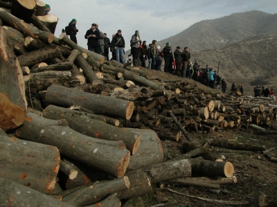 Vallex Group Vice-Chairman Says They Treat Environment With Greatest Responsibility