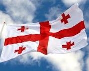 Georgian Opposition Asserting NPP To Be Constructed in Georgia