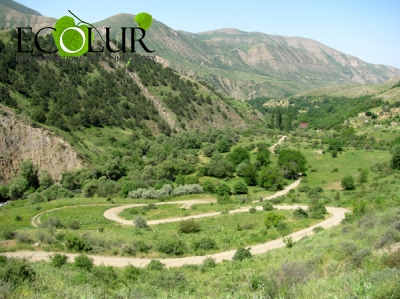 Civic Initiatives Condemn Nature Protection Minister’s Step to Appoint Chargé d’affaires of Khosrov State Reserve
