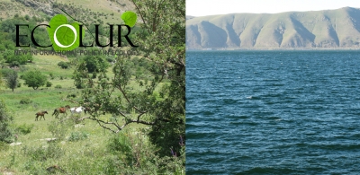 “Khosrov Forest” State Reserve and “Sevan” National Park – Richest in Red-Listed Species