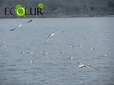 RA NAS Presidium Approved Lake Sevan Expert Committee Report for 2014