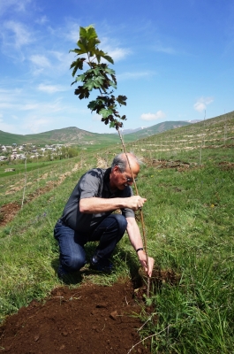 Հայաստանի հյուսիսում կտնկվեն 10 անտառներ, որոնք  կխորհրդանշեն Արևմտյան Հայաստանի համայքները