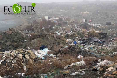 Results of Cleaning Day in Regions of Armenia
