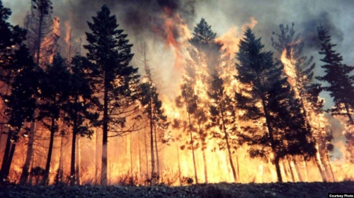Russia Losing Colossal Amounts of Areas Because of Fires