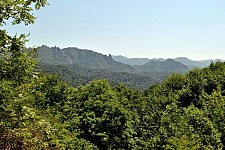NO COMMENTS: VOICES FROM DILIJAN