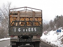 BUSINESS SECTOR TARGETED AT ARMENIAN FOREST