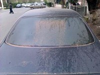 ԽՈՒՃԱՊ ԱՐՄԱՎԻՐՈՒՄ