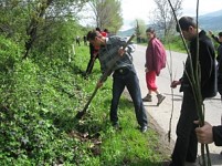 Tree Planting in Tavush Region