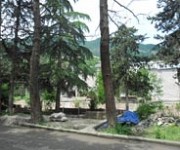 Building at Expense of Trees