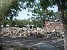 New Alarm about Tree Felling in Armavir