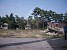 New Alarm about Tree Felling in Armavir