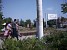 New Alarm about Tree Felling in Armavir