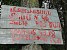 В результате проводимой властями лесной политики, легальные лесные рубки напомнили «темные» 90-е В результате проводимой властями лесной политики, легальные лесные рубки напомнили «темные» 90-е