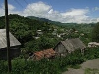 Егегнутский лес остался заброшенным