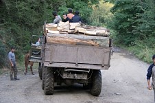 No Illegal Felling in Kirants Forest?