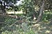 Forest Felling Near Marmarik Forest Felling Near Marmarik