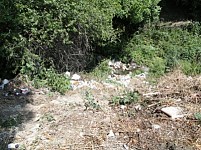 Signature Collecting Because of Garbage