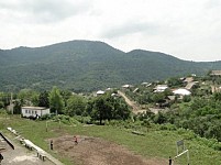 Продолжают рубить уникальный и ценный лес села Марц