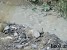 Apocalypse of Local Significance in Syunik Village