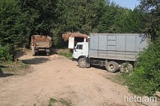 Отклик на лесные вырубки: уголовное дело не заведено