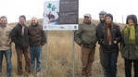 «Էյ Թի Փի» ԲՀ-ն մոտ 250,000 ծառ է տնկել Հայաստանի քաղաքներում և գյուղական համայնքներում