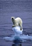Advent of New Ice Period Postponed