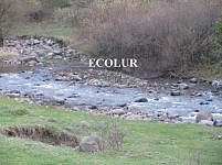 Վտանգված է Մարց գետը