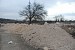 How Dalma Gardens Were Destroyed (Photos)
