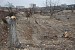 How Dalma Gardens Were Destroyed (Photos)