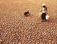 Agriculture Productivity Reducing Due to Climate Changes