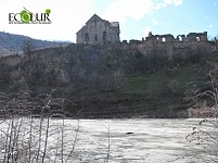 Անտառ Նազիկ պոչամբարի վրա (լուսանկարներ)