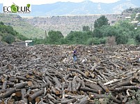 Greens Union of Armenia to Represent Teghut Project Alternative Analysis