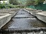 Воды Армении: фоторепортаж, посвященный Всемирному дню воды