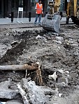 Heavy Machinery in Mashtots Harming Trees