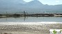 Cement Dust and Cyanogen Permanently Present in Atmosphere of Ararat Cement Dust and Cyanogen Permanently Present in Atmosphere of Ararat