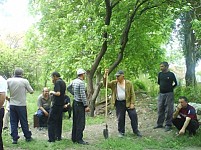 The Municipality Ready to Destroy Fruitful Trees for Football Federation to Construct a Stadium