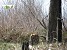 Trees to Be Cut Down in Hrazdan for Site Development (Photos)