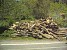 Several Days Since Forest Around Ropeway in Tsaghkadzor Cut Down