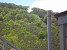 Several Days Since Forest Around Ropeway in Tsaghkadzor Cut Down