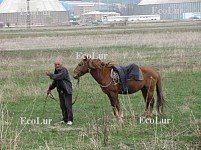 Фермеры не в состоянии обрабатывать землю в Котайке
