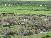 Let’s Set up New National Park (Photos)