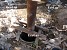 This Happened next to ANPP (Photos)