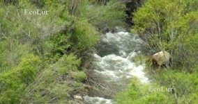 Մեղրիի շրջան. գալիս են, պայմանավորվում համայնքապետի հետ եւ մեկնում
