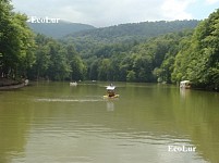 В Дилижанском нацпарке в 2012 г. cнизился естественный прирост деревьев