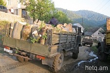 Անտառները շարունակում են անխնա հատվել