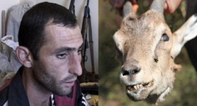 Случай браконьерства в Хосровском заповеднике раскрыт?