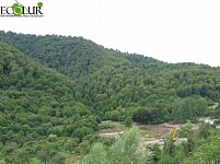 Общественные слушания в Дилижане