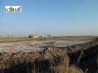 Всемирный день продовольствия : Увеличится ли число голодающих в мире за счет Армении